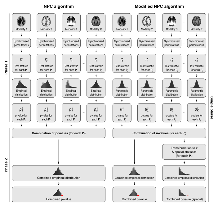 Overview of the NPC algorithm
